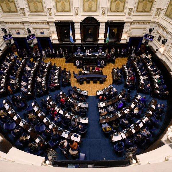 DESREGULACIÓN: LA LIBERTAD AVANZA RETIRÓ EL PROYECTO DE LEY EN PROVINCIA